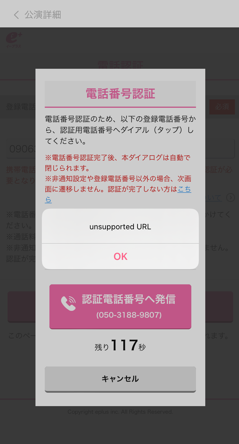 unsupported URL_モーダル全体.PNG